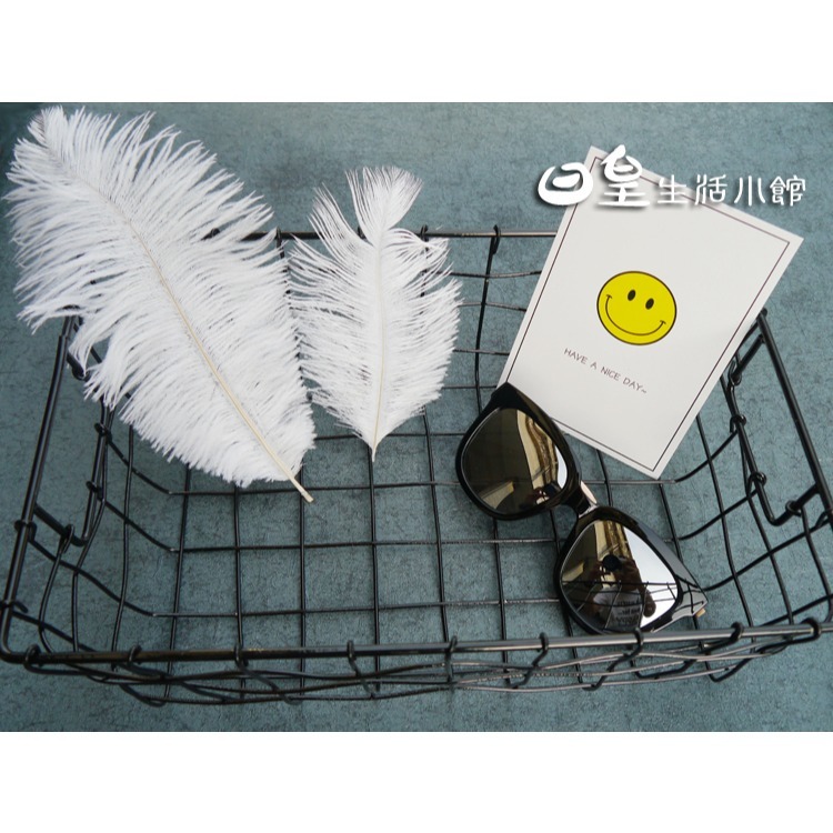 羽毛 白色羽毛 拍照道具 拍攝道具 現貨 白色駝鳥毛 裝飾 DIY 擺飾 婚禮佈置 教學道具 飾品拍攝 日皇-細節圖2