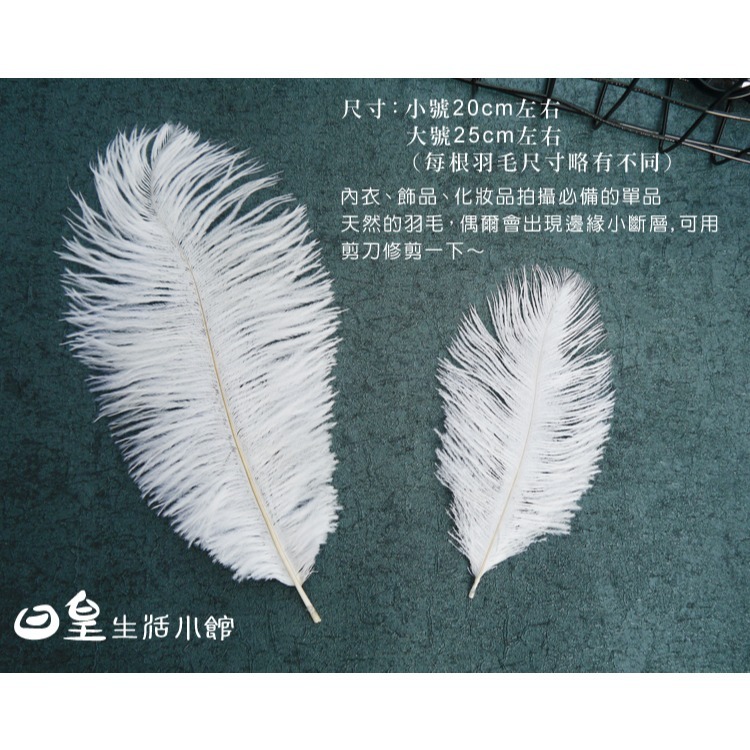 羽毛 白色羽毛 拍照道具 拍攝道具 現貨 白色駝鳥毛 裝飾 DIY 擺飾 婚禮佈置 教學道具 飾品拍攝 日皇-細節圖4