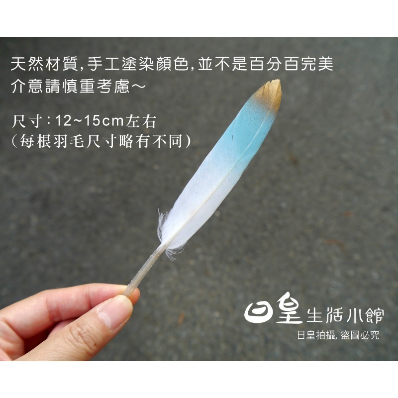 彩色羽毛 金色羽毛 拍照道具 裝飾 DIY飾品配件 擺飾 婚禮佈置 飾品拍攝 拍攝道具 現貨 日皇-細節圖3
