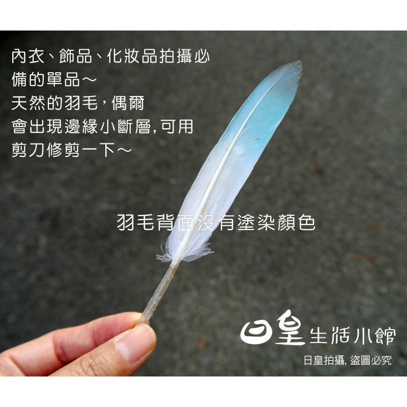 彩色羽毛 金色羽毛 拍照道具 裝飾 DIY飾品配件 擺飾 婚禮佈置 飾品拍攝 拍攝道具 現貨 日皇-細節圖4