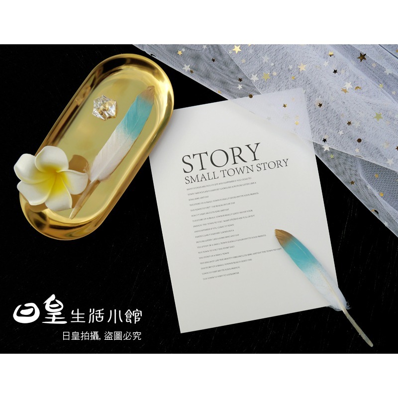 彩色羽毛 金色羽毛 拍照道具 裝飾 DIY飾品配件 擺飾 婚禮佈置 飾品拍攝 拍攝道具 現貨 日皇-細節圖6