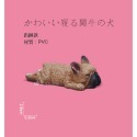 法國鬥牛犬公仔 拍照道具 diy手機殼素材公仔 可愛動物公仔 DIY微景觀造景公仔 療癒 動物擺飾玩具公仔 日皇-規格圖6