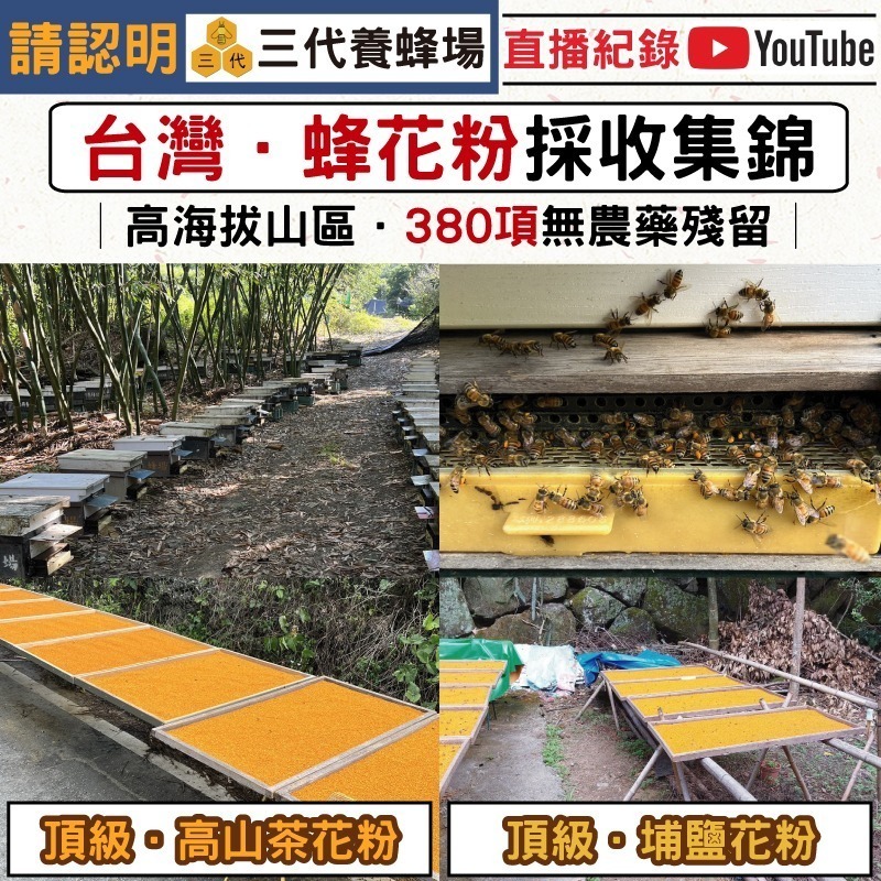 【三代養蜂場🐝】免運➤真空包裝│600克、1公斤台灣埔鹽花粉、茶花粉│⭐️台灣高山✅SGS_380項無農藥殘留│-細節圖8