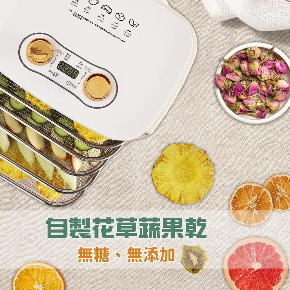 【義大利Giaretti珈樂堤】乾果機-烤網兩入 (GT-FD02)-細節圖2