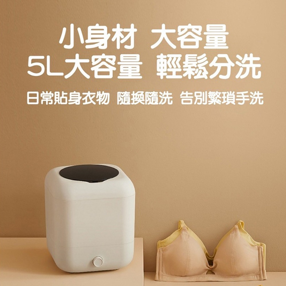 【LY 立元】歌者迷你洗衣機 蔬果清洗兩用機(USB插電款)-細節圖2