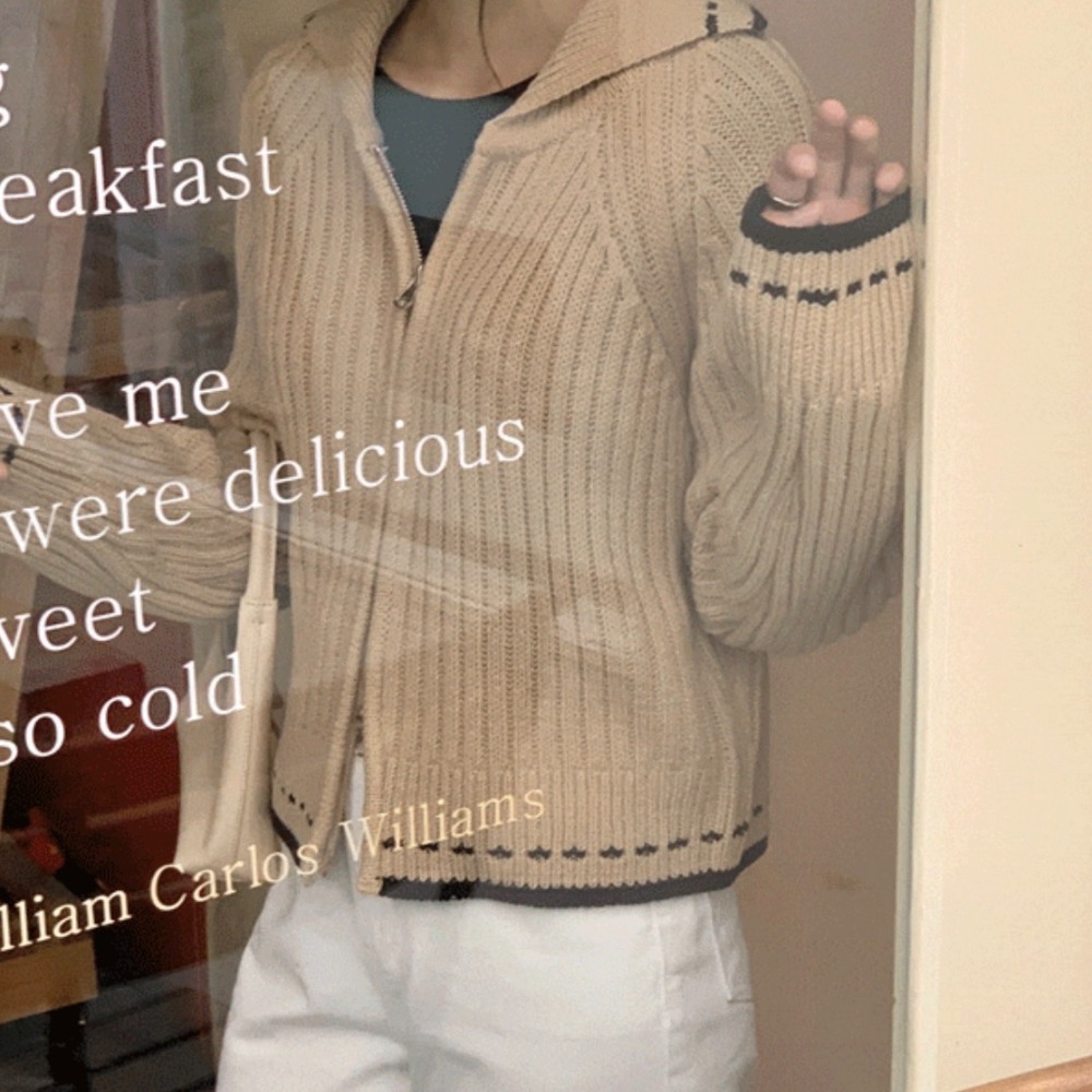 (淺褐現貨)❤️韓國東大門代購 拉鍊直線條滾邊針織上衣 正韓空運-細節圖4