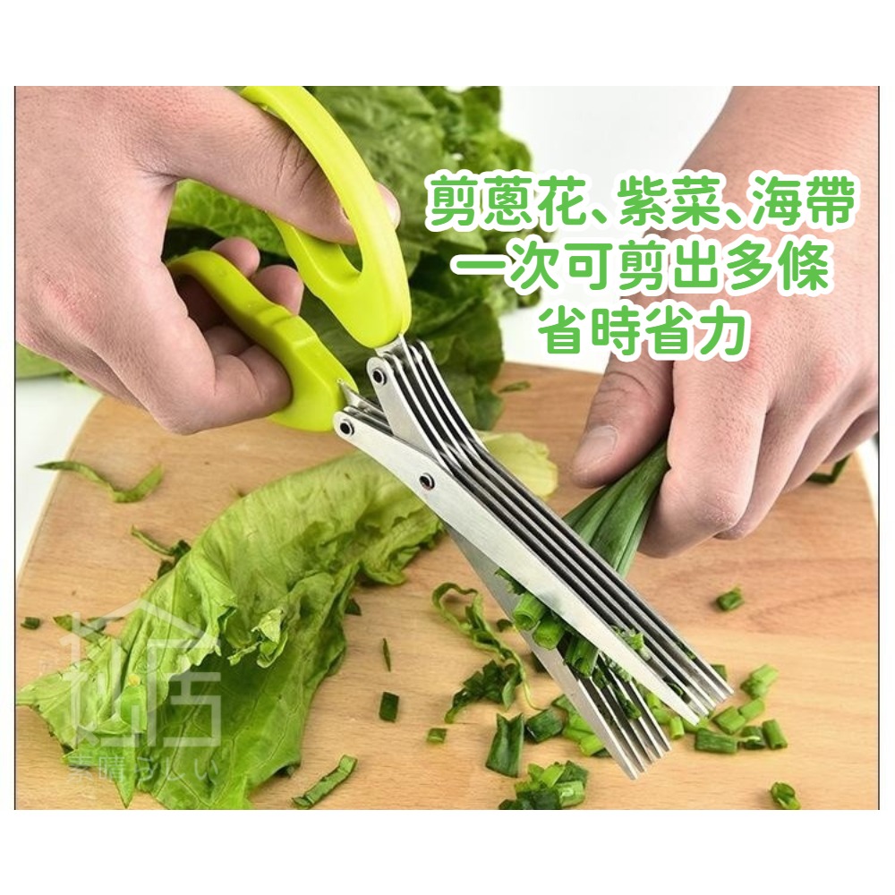 不鏽鋼五層蔥花剪 蔥花剪 碎菜剪 海苔剪 辦公碎紙剪 食物剪 鏽鋼多層剪刀 多用途五層碎末剪 碎紙剪 廚房料理剪刀-細節圖5