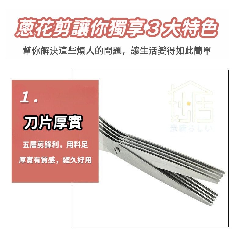 不鏽鋼五層蔥花剪 蔥花剪 碎菜剪 海苔剪 辦公碎紙剪 食物剪 鏽鋼多層剪刀 多用途五層碎末剪 碎紙剪 廚房料理剪刀-細節圖6
