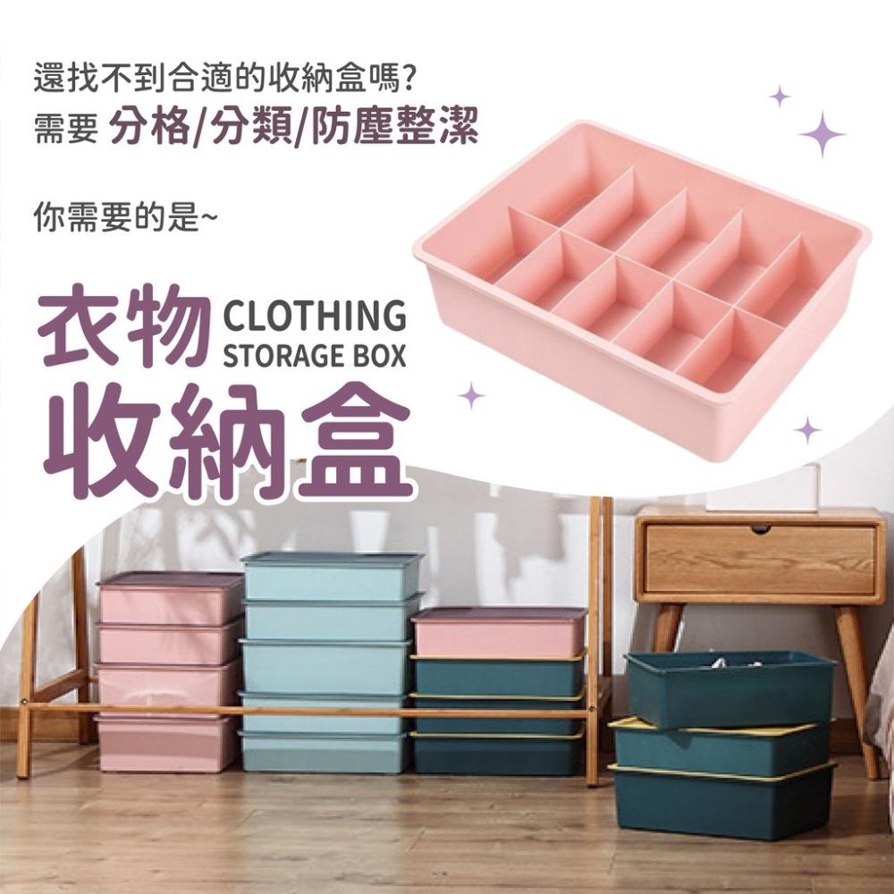 衣物收納盒 撞色加蓋收納盒 衣物分格 內衣文胸收納 襪子收納 加蓋收納盒 10格收納盒 15格收納盒 衣服收納-細節圖2