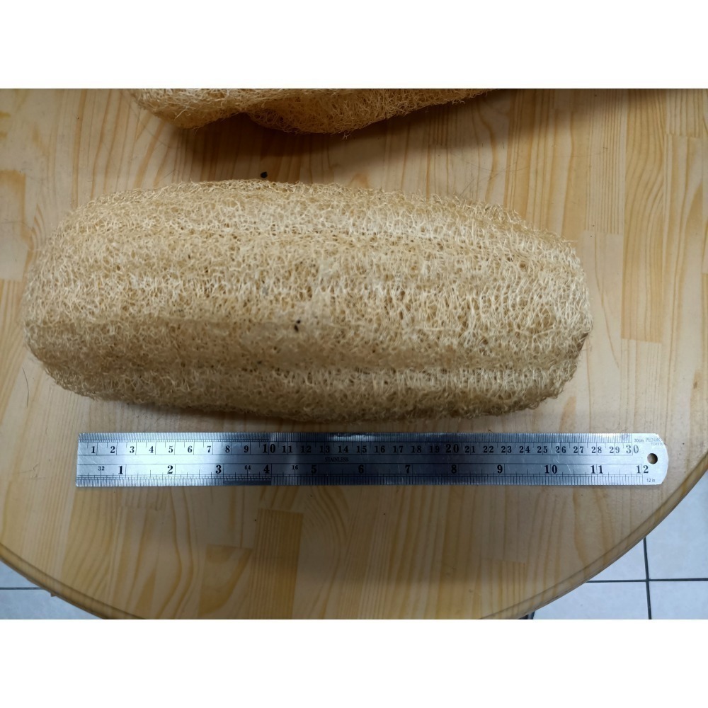 迷你菜瓜布 天然菜瓜布 兒童碗菜瓜布  露營用洗碗刷 洗臉絲瓜絡   幼稚園菜瓜布  倉鼠玩具 絲瓜絡 鸚鵡玩具 洗碗用-細節圖3