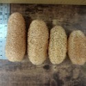 迷你菜瓜布 天然菜瓜布 兒童碗菜瓜布  露營用洗碗刷 洗臉絲瓜絡   幼稚園菜瓜布  倉鼠玩具 絲瓜絡 鸚鵡玩具 洗碗用-規格圖3