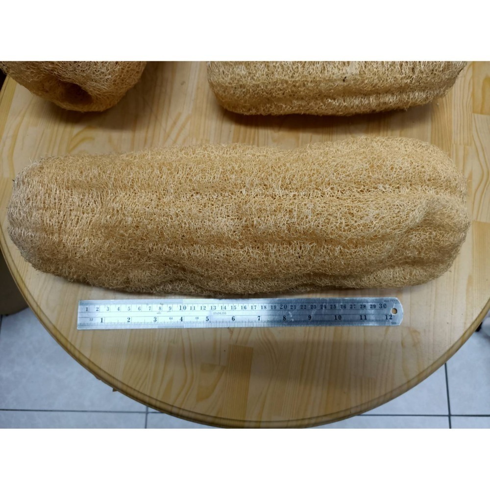 天然菜瓜布  小農精選絲瓜布 天然絲瓜絡-規格圖2