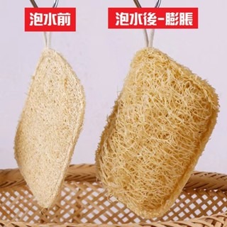 天然絲瓜布  天然絲瓜絡 洗碗刷 清潔刷-細節圖2