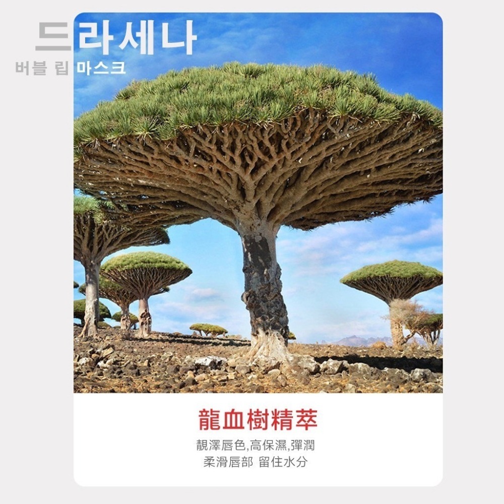 【Osseo 歐皙兒】龍血樹植粹 泡泡修護嫩唇膜-細節圖9