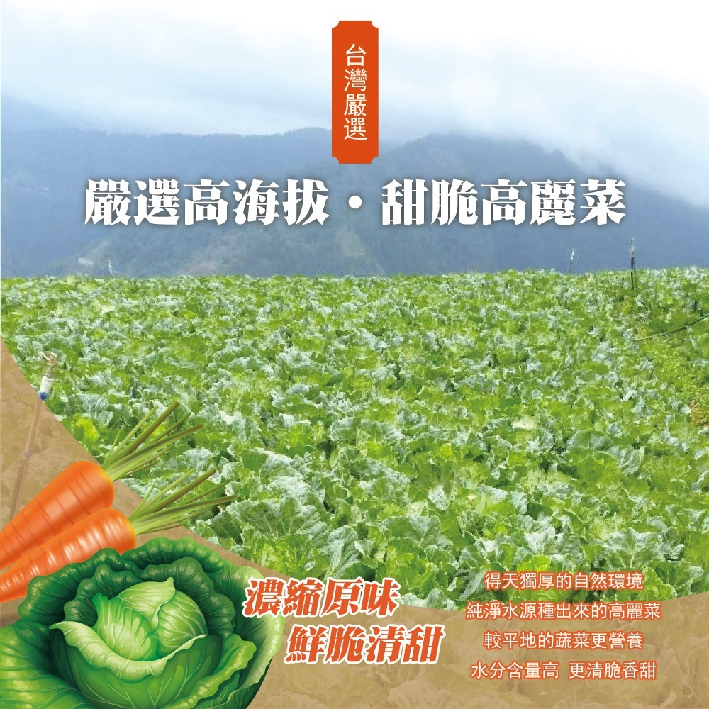 台灣 甜x爽x脆 高山高麗菜乾 沖泡煮湯式 230g-細節圖2