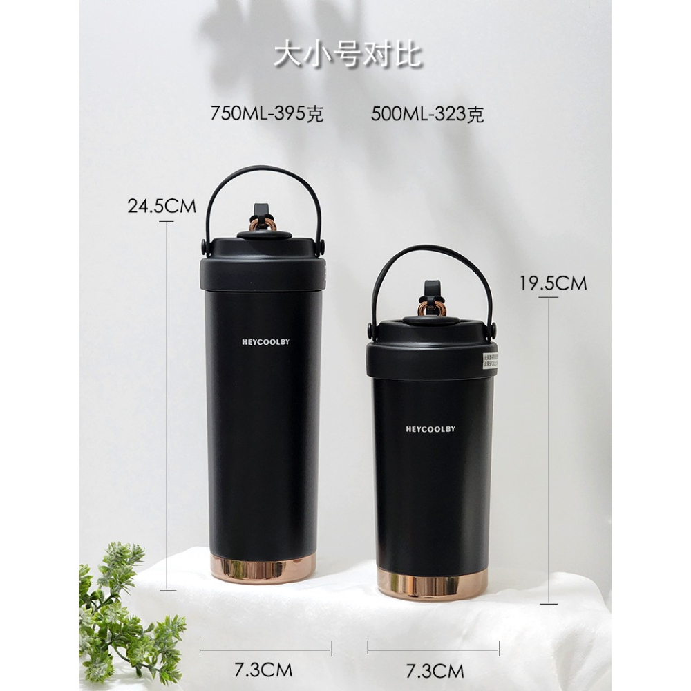 四季隨行高顏值 陶瓷內膽 雙飲保溫杯 吸管咖啡杯 2款6色-細節圖2