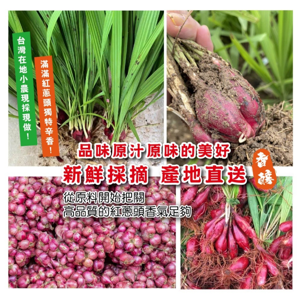 超香一拌上癮!!【鳳松林】料理的靈魂 老店紅蔥頭拌醬 200g-細節圖3