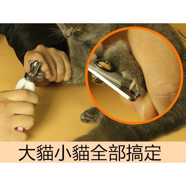貓狗都可用 寵物指甲剪 2色-細節圖3