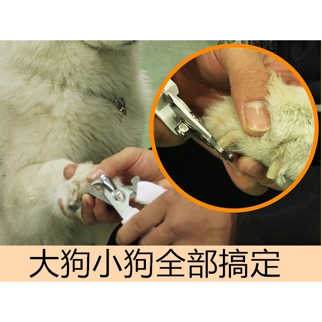 貓狗都可用 寵物指甲剪 2色-細節圖4