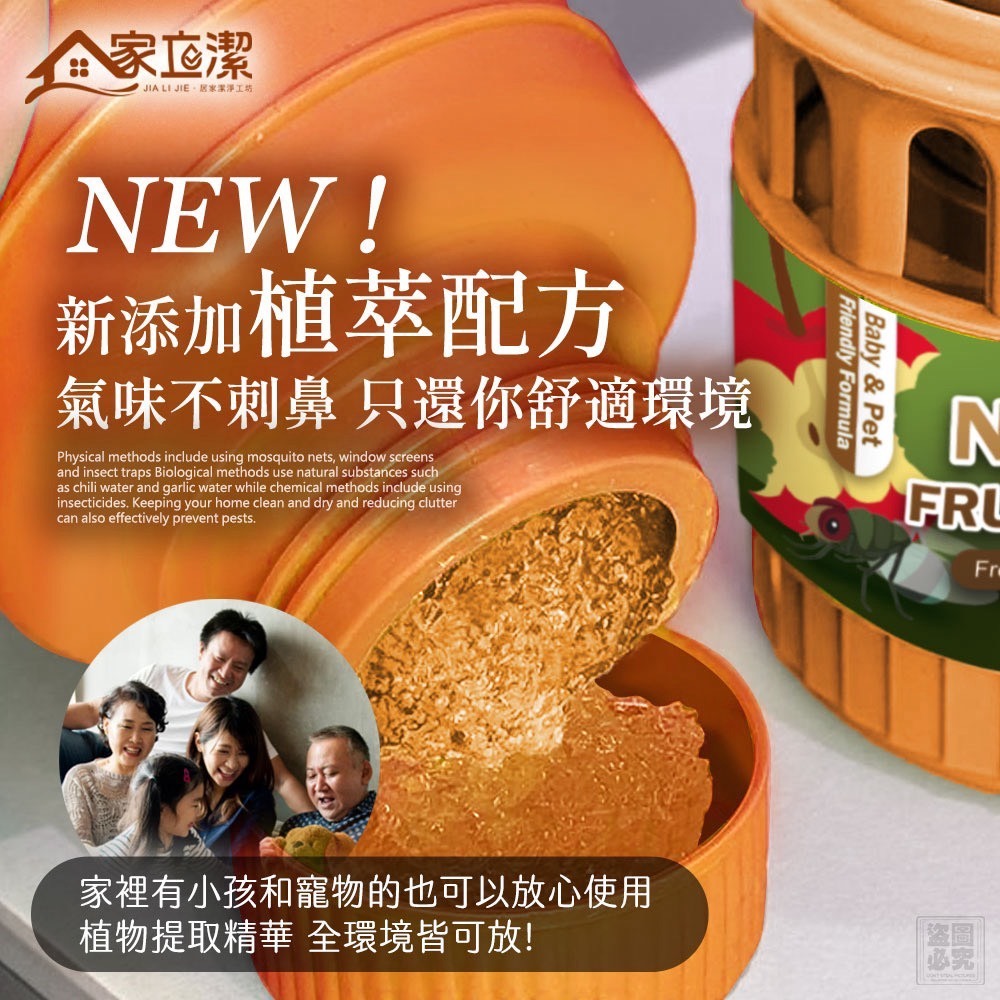 【家立潔】果蠅清新小橘屋 2入/組-細節圖4