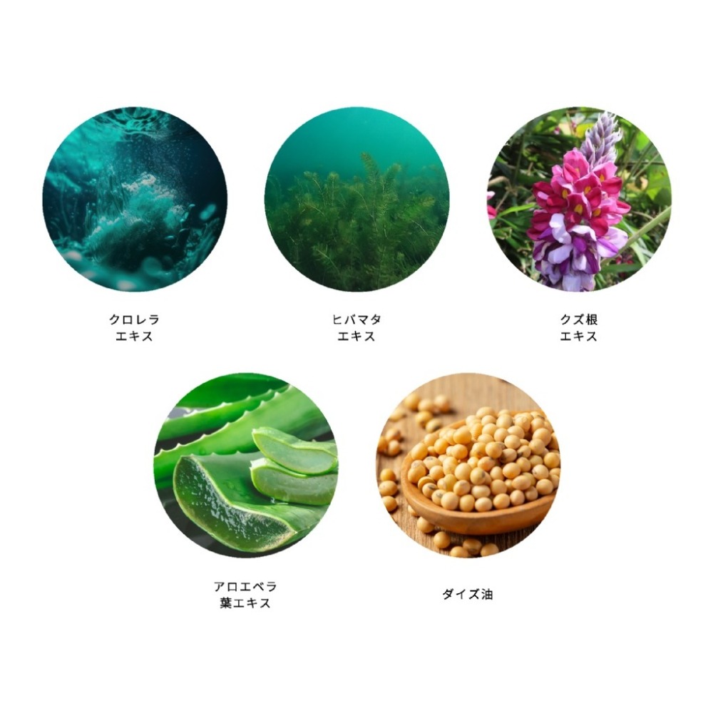 日本三潤美 薰衣草金箔出水霜 200g-細節圖5