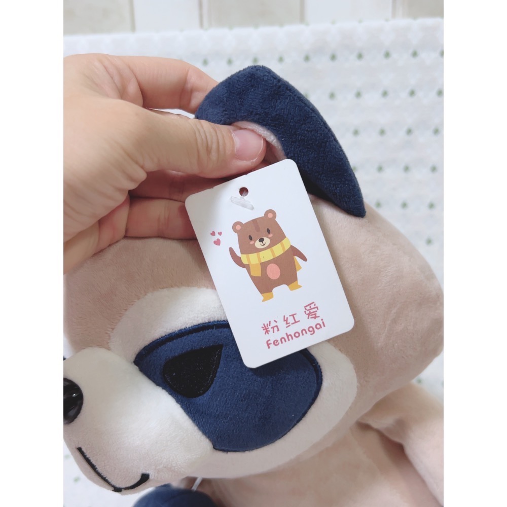全新可愛浣熊 小浣熊 坐姿浣熊 12吋-細節圖6