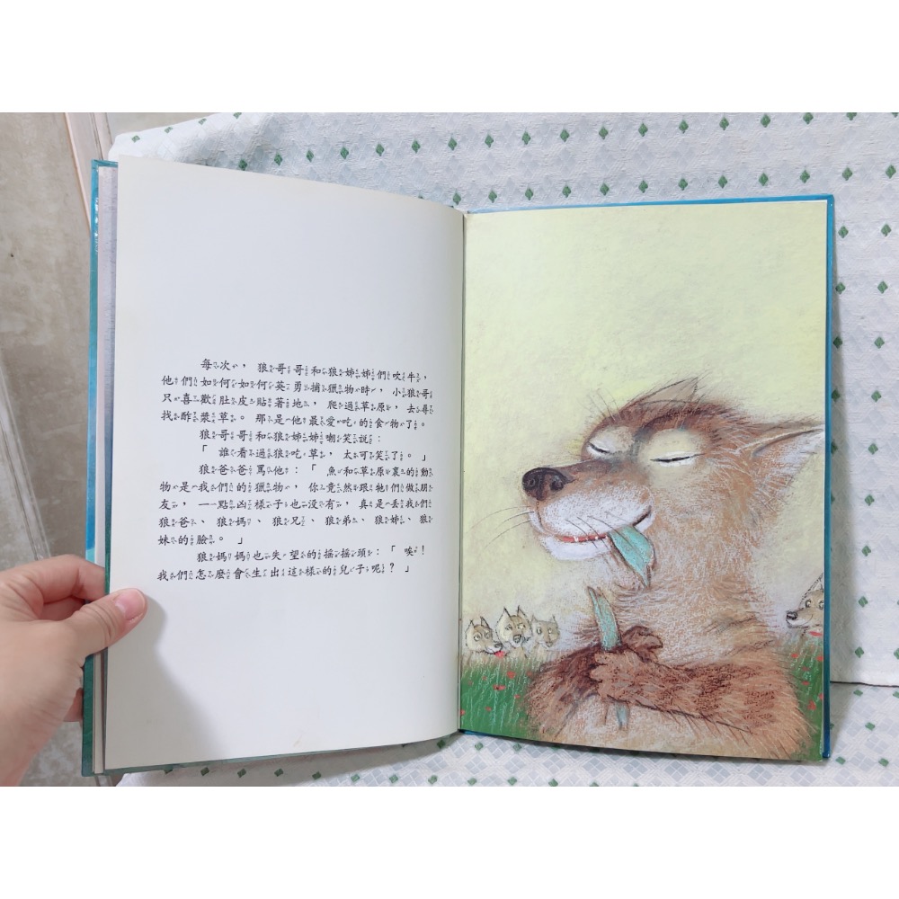 A01 二手繪本童書 小狼哥-細節圖3