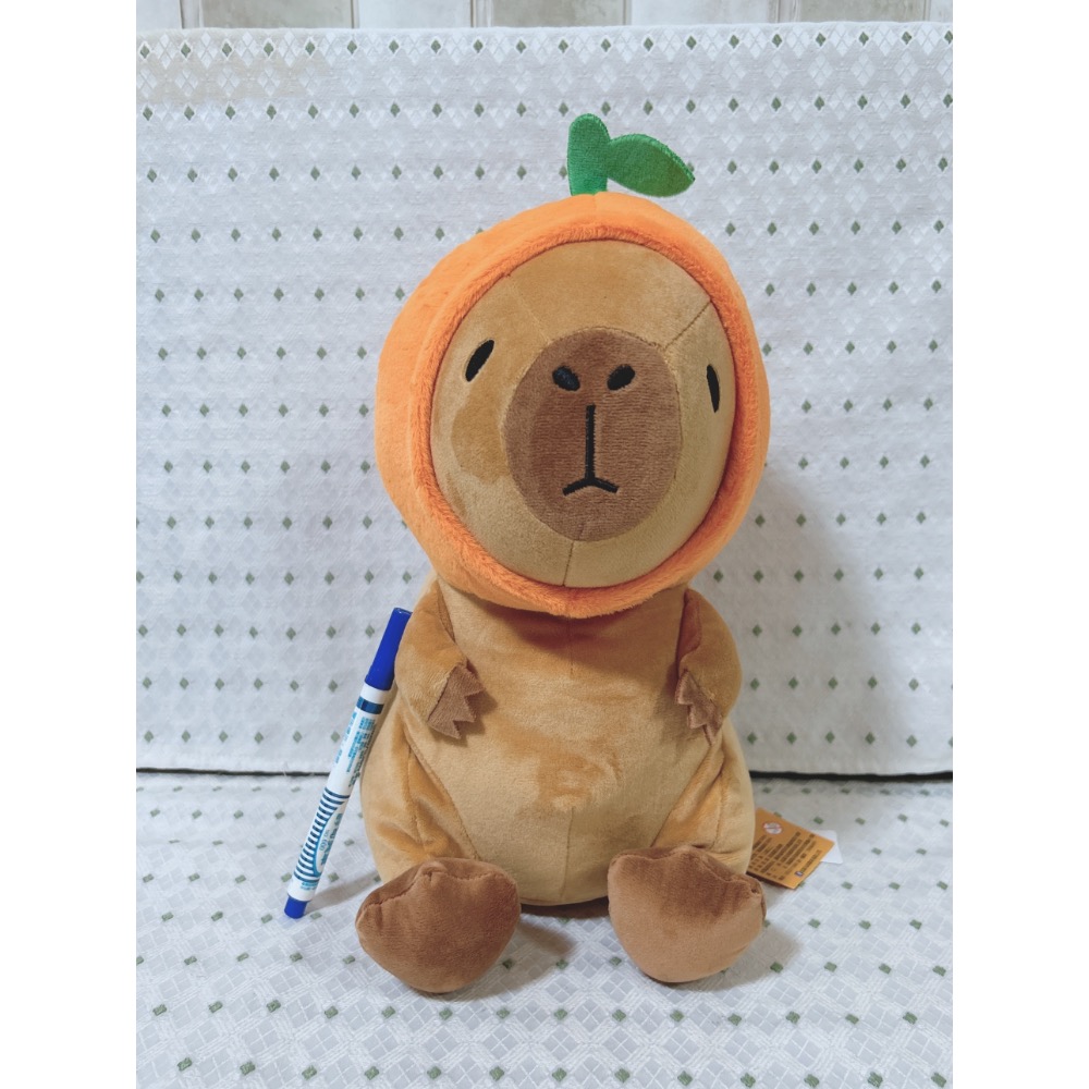 A03 橘子卡皮巴拉 水豚君 11英吋-細節圖2