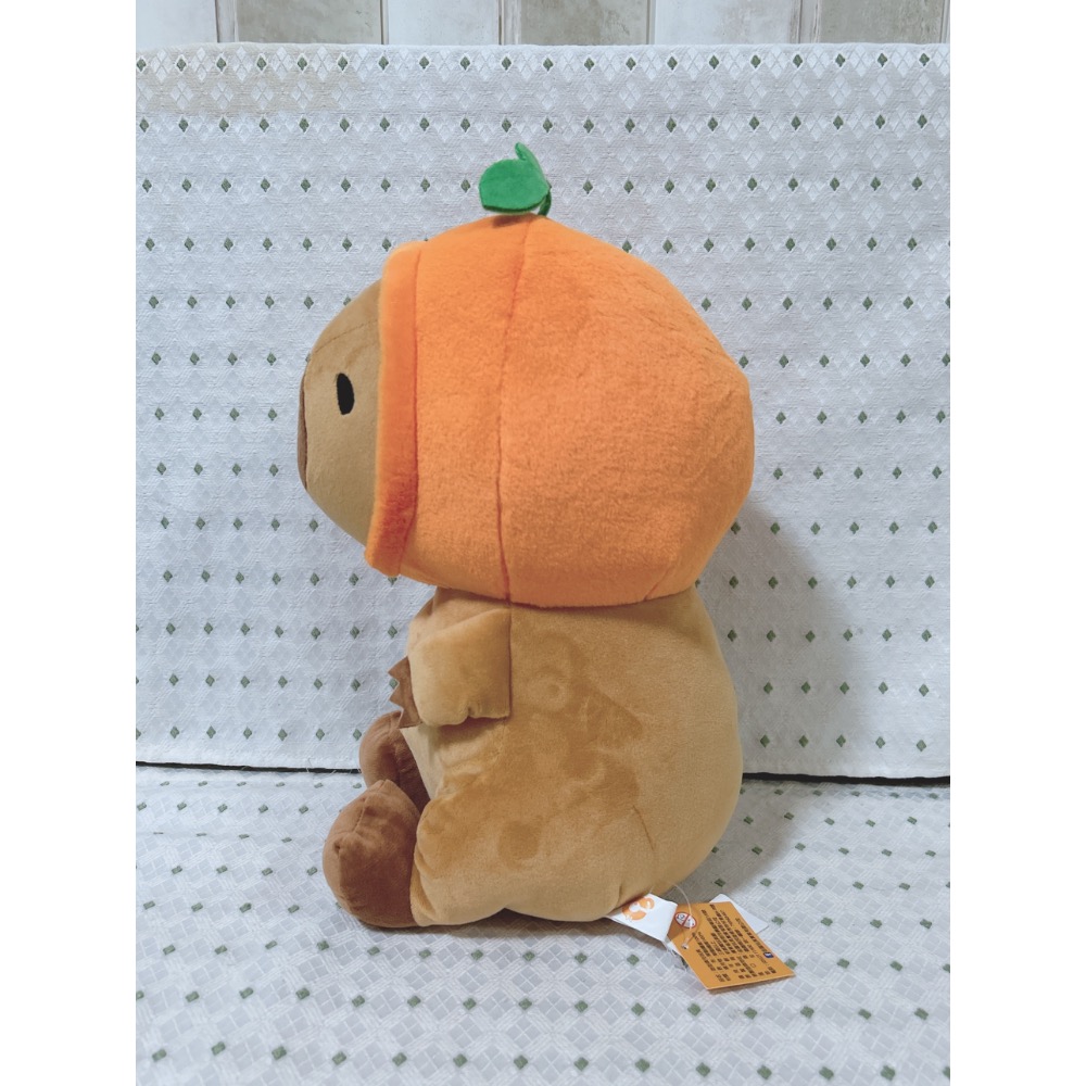 A03 橘子卡皮巴拉 水豚君 11英吋-細節圖3