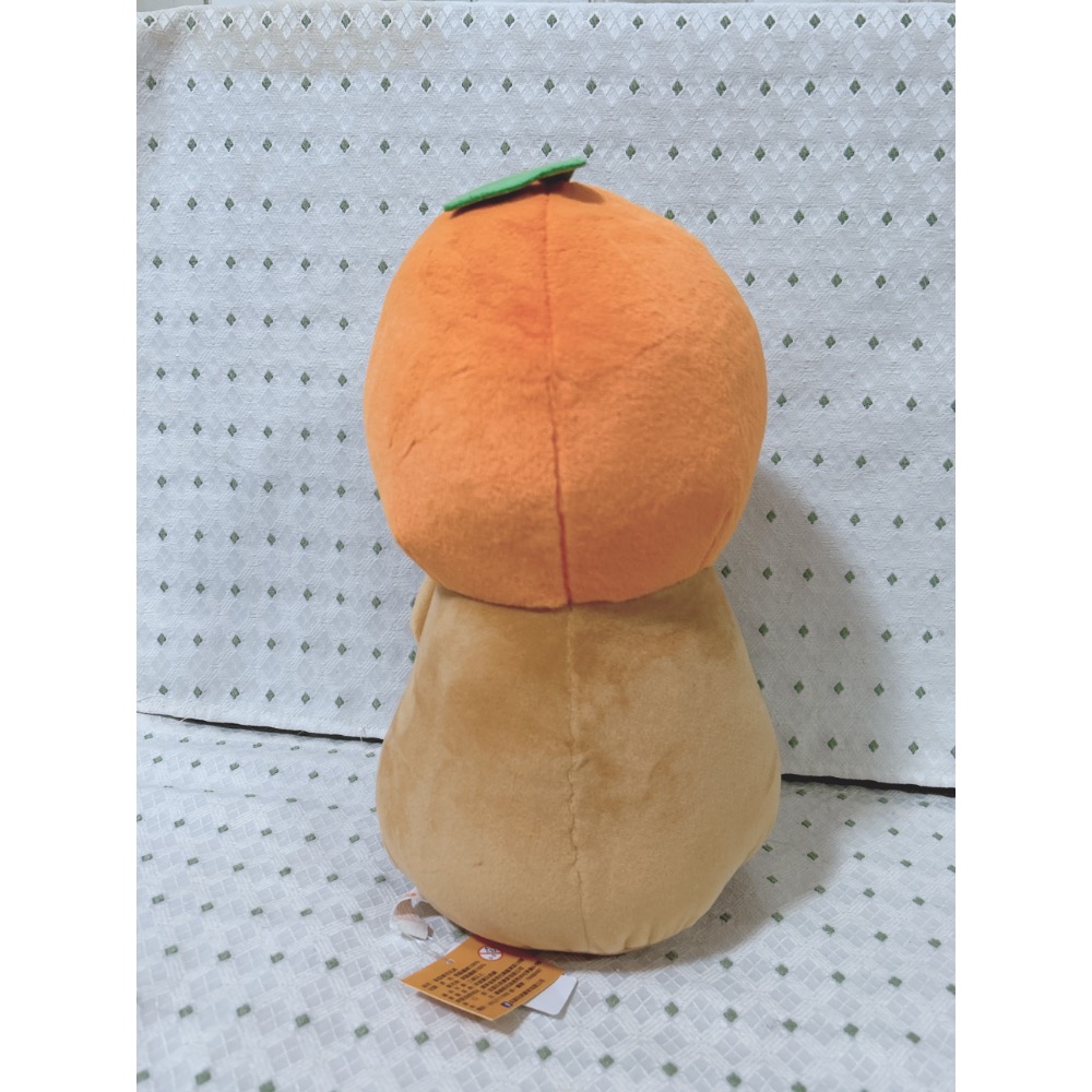 A03 橘子卡皮巴拉 水豚君 11英吋-細節圖4