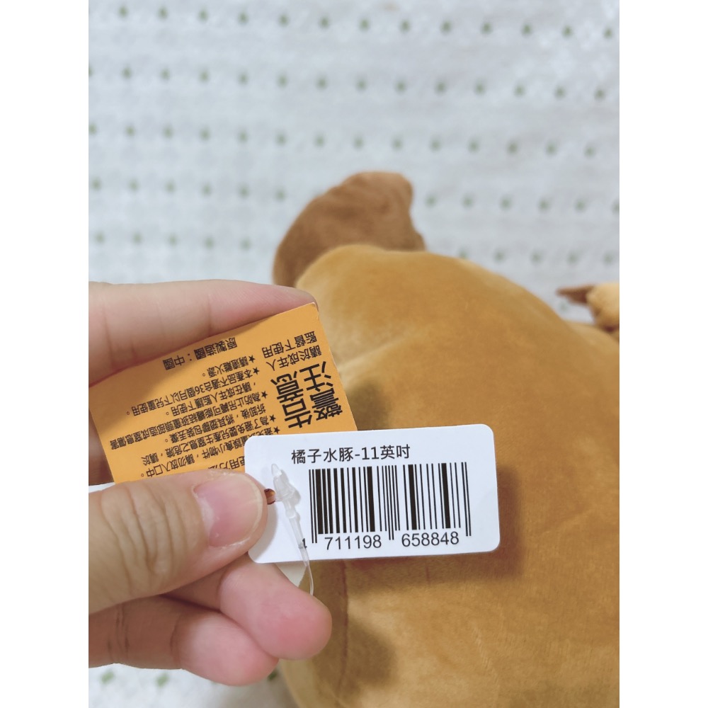 A03 橘子卡皮巴拉 水豚君 11英吋-細節圖5