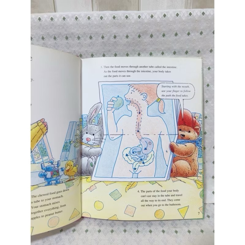 A51 二手英文繪本童書 What Is a Bellybutton ?-細節圖2