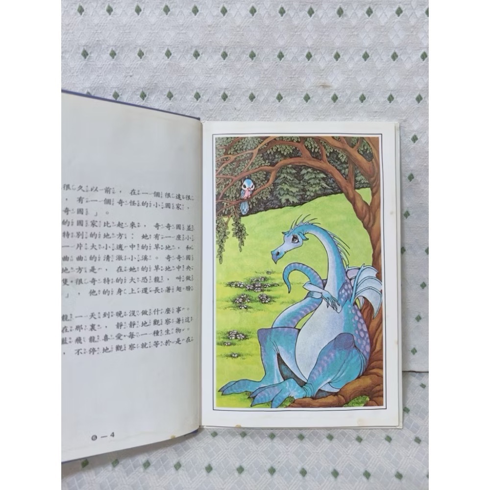 二手繪本童書 藍飛龍有煩惱-細節圖2