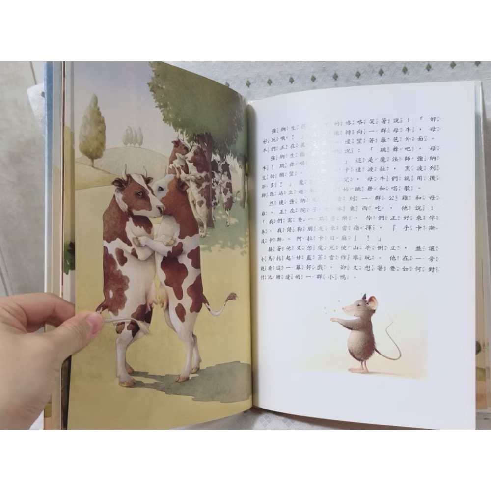 二手繪本童書 強納生和魔法盒-細節圖5