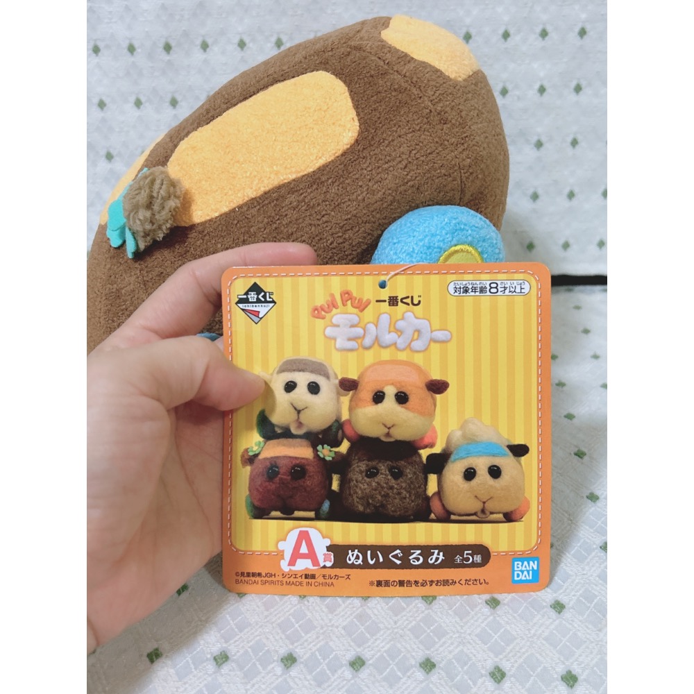 BANDAI 天竺鼠車車 A賞 巧克力 娃娃-細節圖4