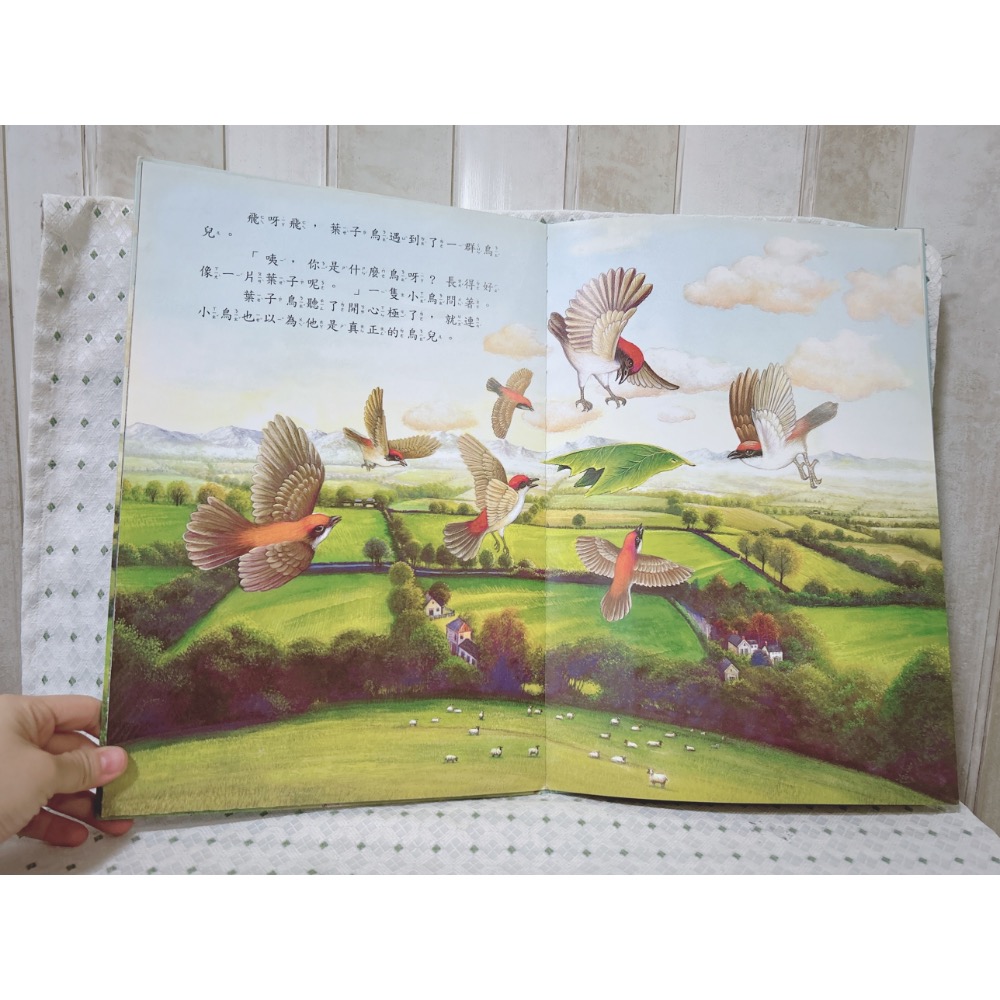 A81 二手繪本童書 葉子鳥-細節圖2