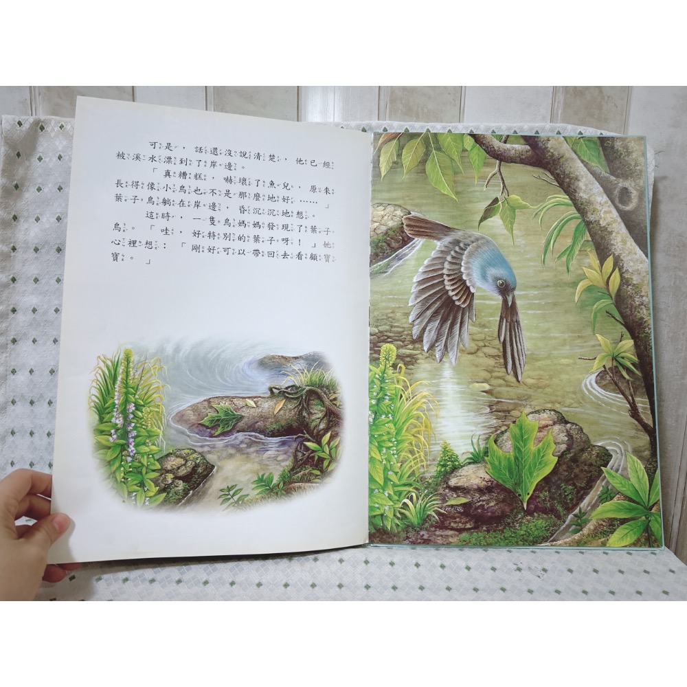 A81 二手繪本童書 葉子鳥-細節圖3