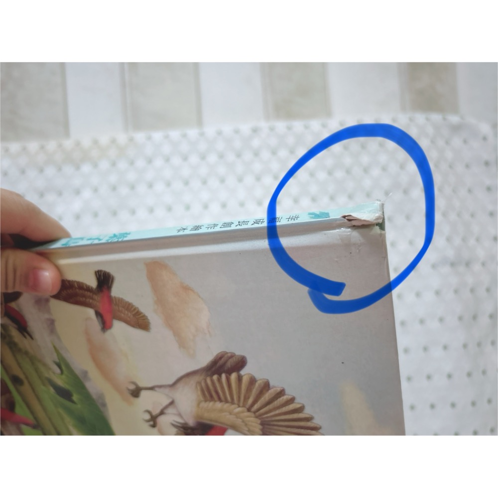 A81 二手繪本童書 葉子鳥-細節圖4