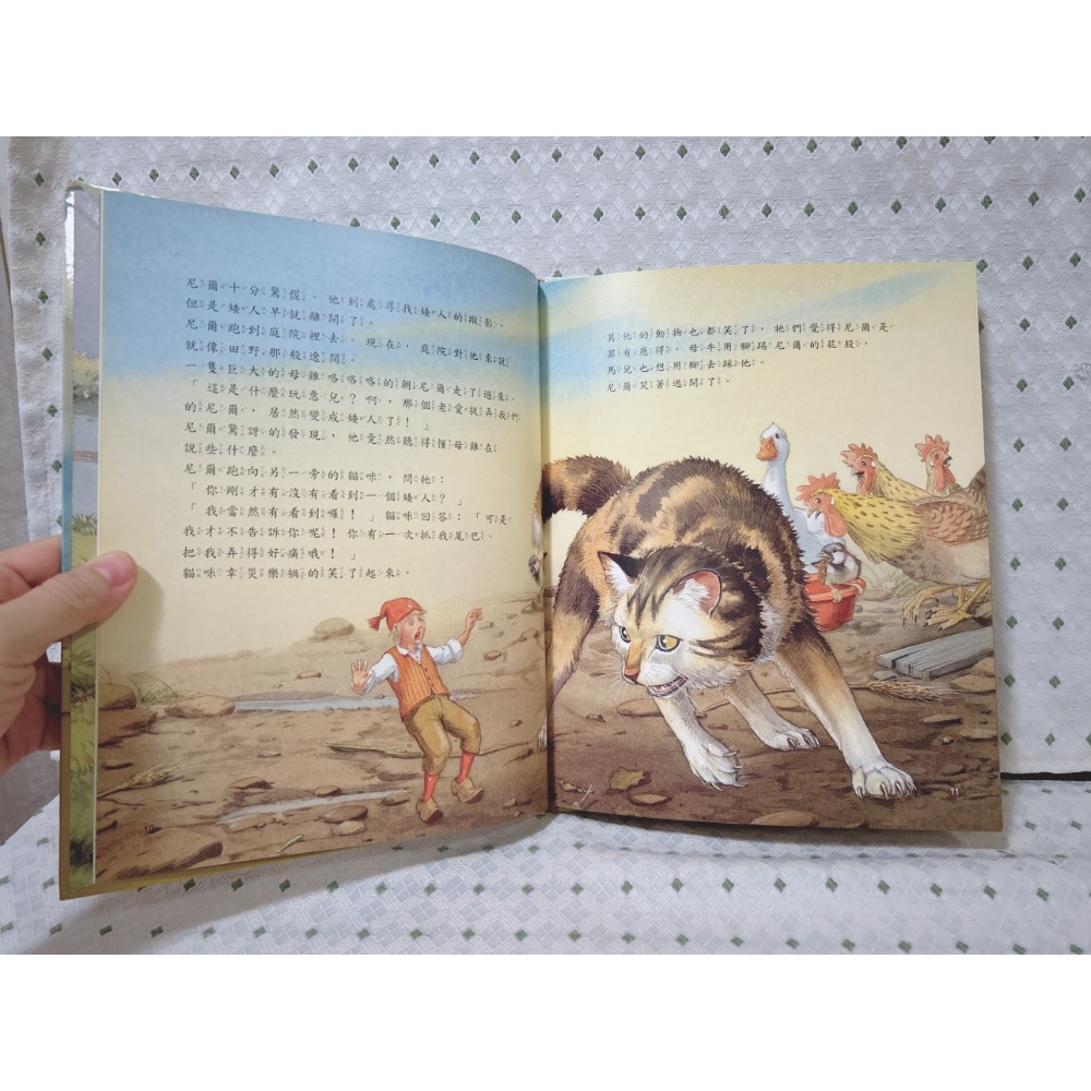 二手繪本童書 尼爾奇遇記-細節圖2
