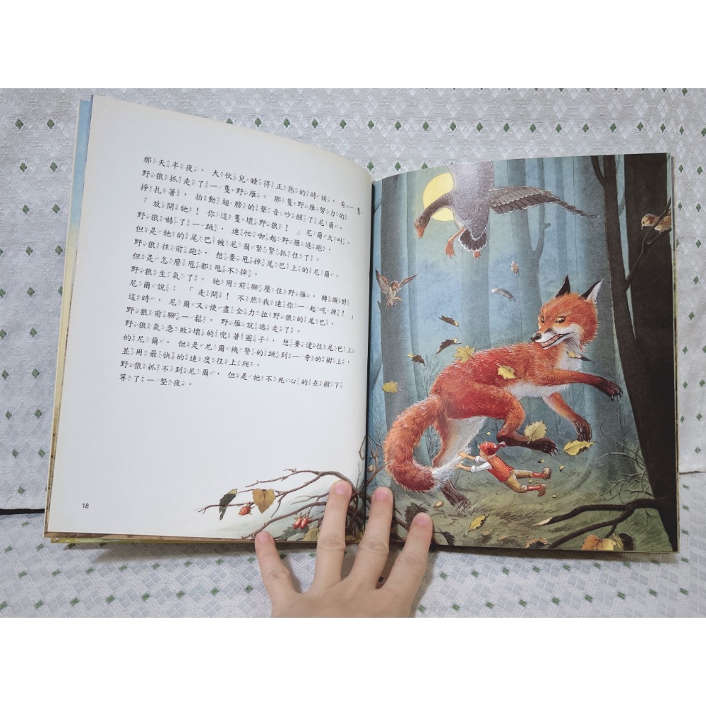 二手繪本童書 尼爾奇遇記-細節圖3