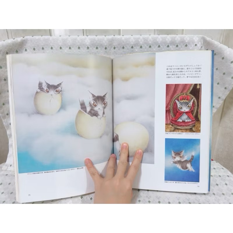 二手書 瓦奇菲爾德大圖鑑 百科全書-細節圖3