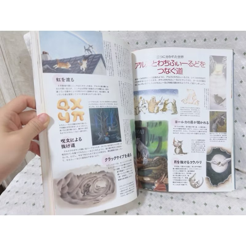 二手書 瓦奇菲爾德大圖鑑 百科全書-細節圖5