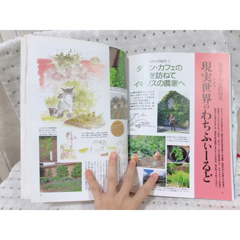 二手書 瓦奇菲爾德大圖鑑 百科全書-細節圖6