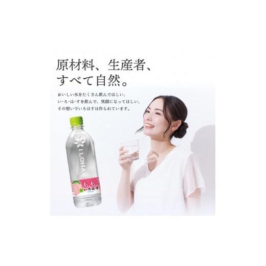 【我還有點餓】日本 最新版 2023 可口可樂 水蜜桃 鹽檸檬 檸檬水 風味水 天然水 透明系 水蜜桃水 540ml-細節圖4
