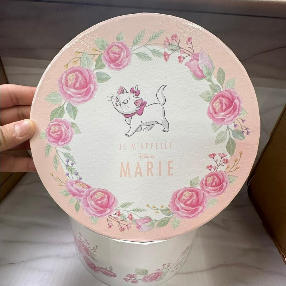 全新 正版 日本 東京 迪士尼 迪士尼商店 限定 瑪麗貓 陶瓷 茶壺 禮盒組 《日本玩具屋》-細節圖5