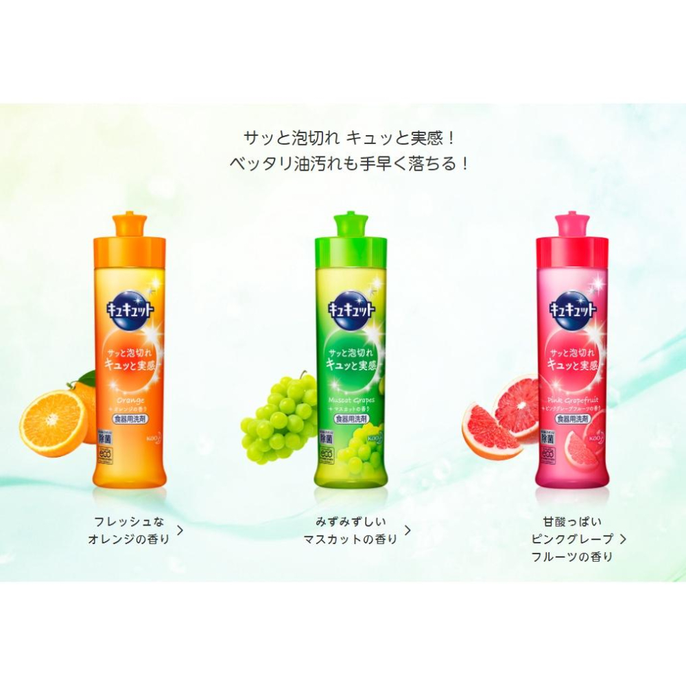 【小薰選品】最新版 日本 花王 KAO Cucute 溫和 護手 珂珂透 超濃縮 洗碗精 230ml-細節圖5