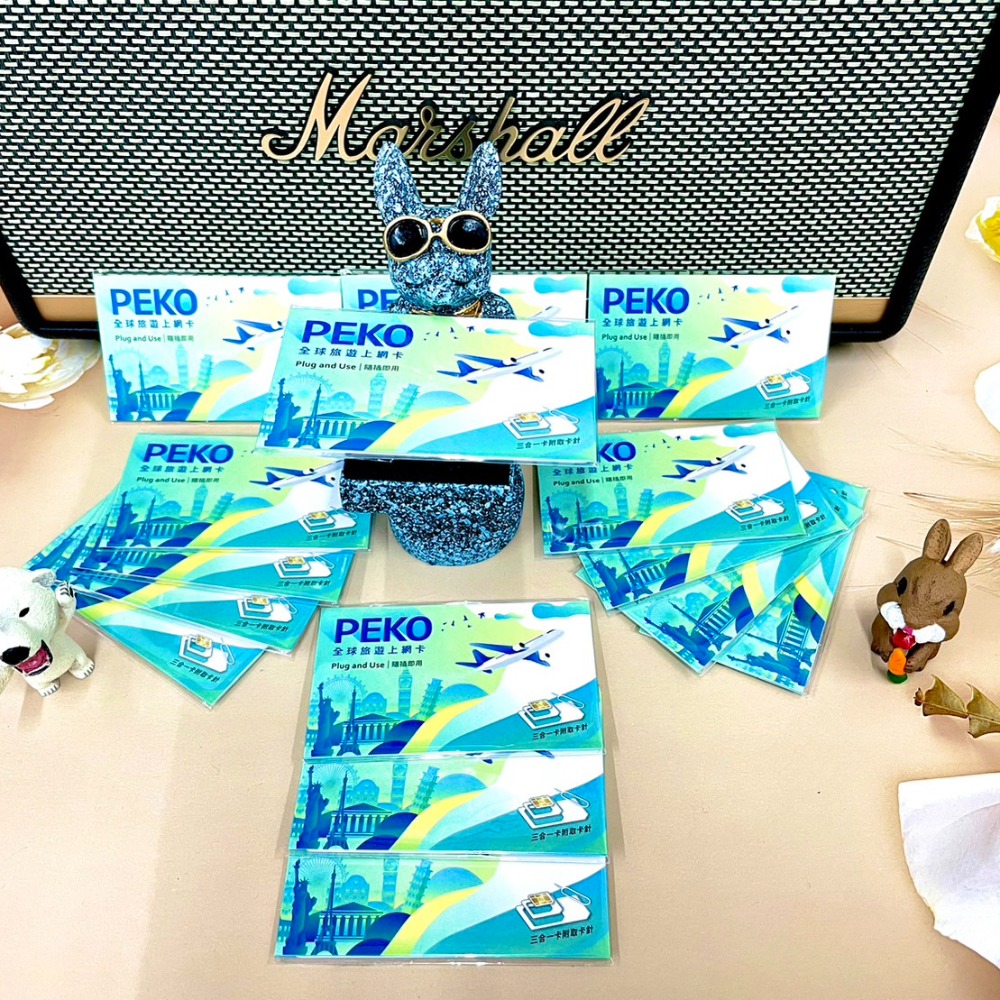 出國旅外網卡(支援14個國家)-細節圖2