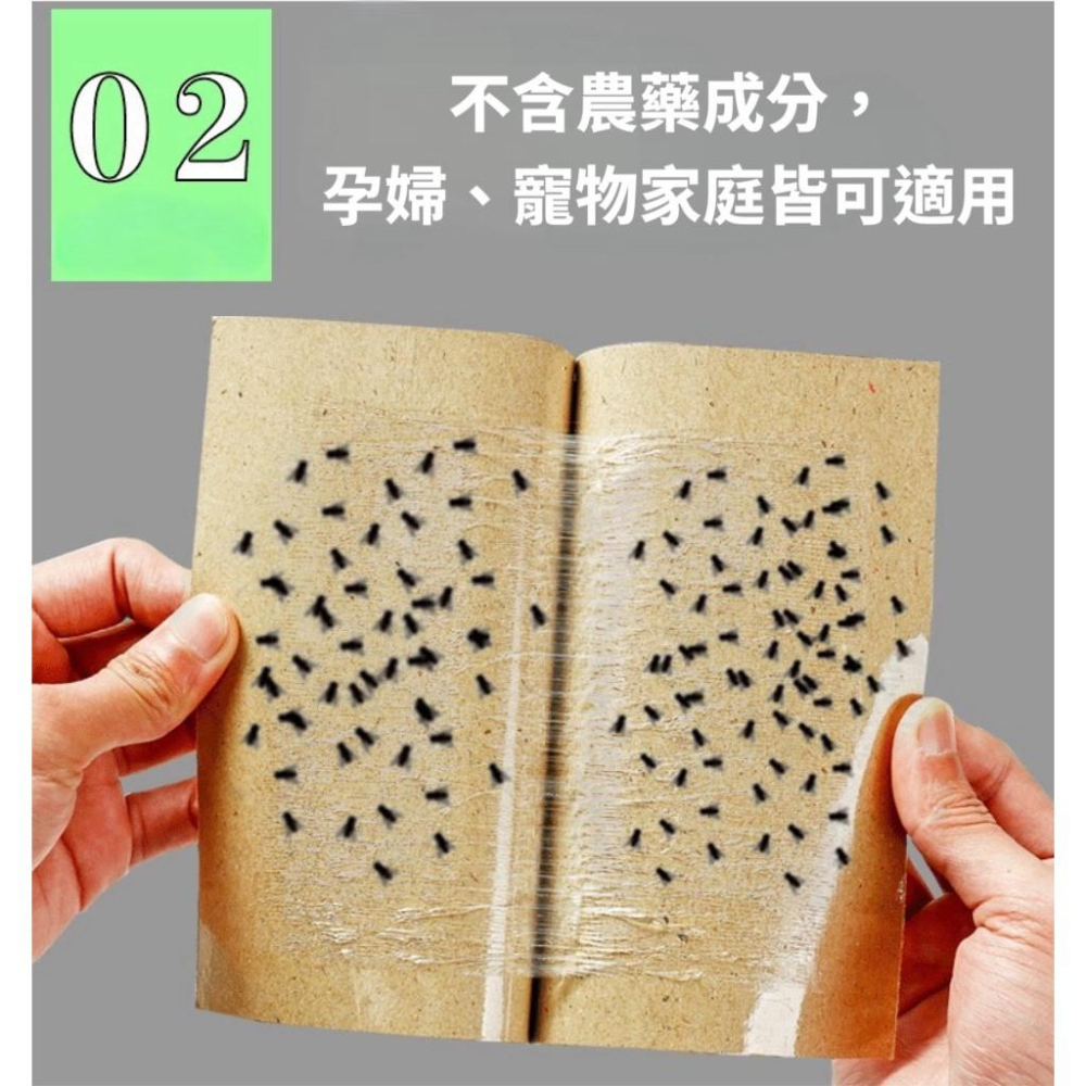 台灣 蒼蠅貼 強力黏蒼蠅紙 黏蠅板 黏蠅紙 捕蠅 蒼蠅 黏蟲紙 黏蟲板 捕蠅器 果蠅 黏蠅-細節圖3