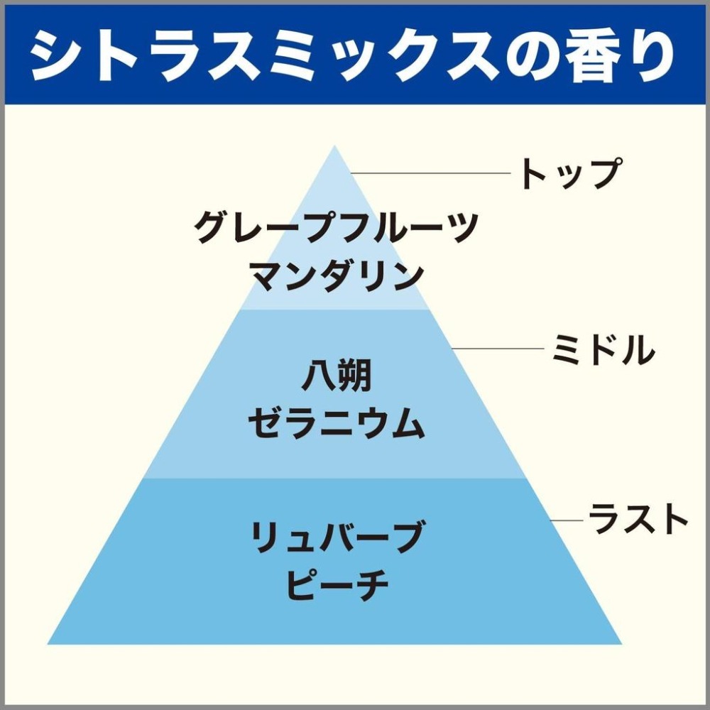 日本 ST 雞仔牌 新車復活 SPORTS 座椅下 芳香劑 消臭盒 芳香噴霧 汗臭 除臭 柑橘香-細節圖3