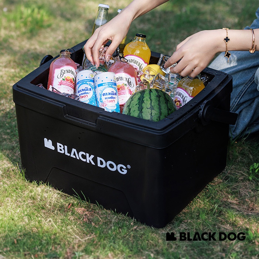 【Blackdog】 冰島/悅夏 手提式保溫保冰箱 CF013/CF012 | 台灣總代理公司貨-細節圖4